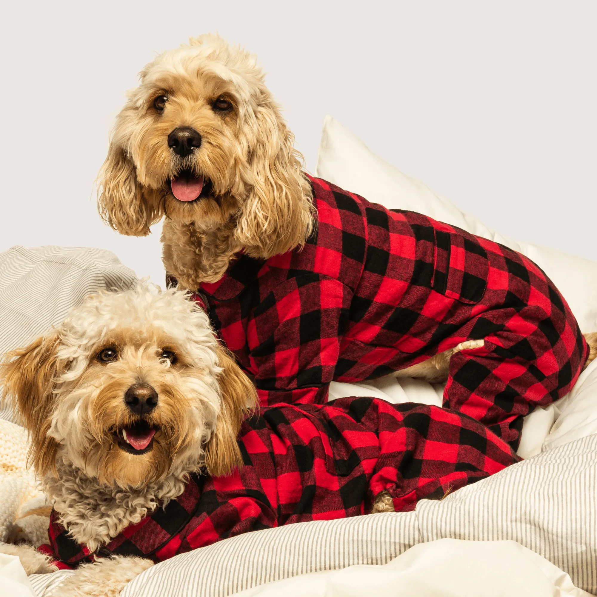 Buffalo Check Flannel Pajamas